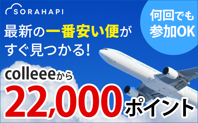 格安国内航空券を購入して、2,200円相当のポイントGET!についてのイメージ画像